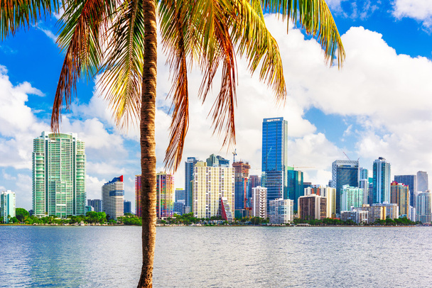 Miami, Florida, Skyline - Fotoğraf, Görsel
