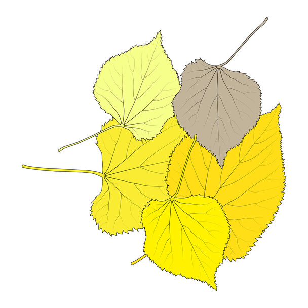 Ilustracja jesień liść kartka streszczenie tło wektor - Wektor, obraz