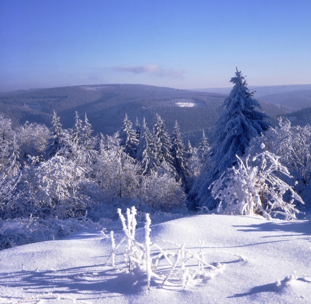 雪および霜高原 01 - 写真・画像
