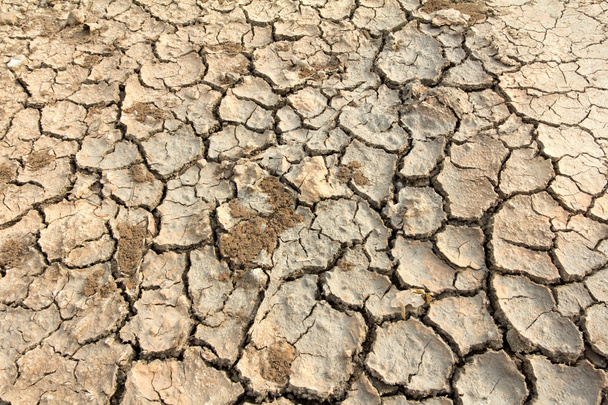 Drought land soil - Foto, afbeelding