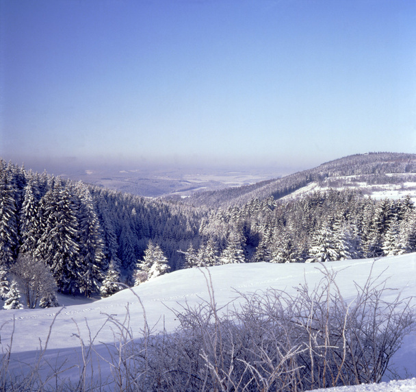Winterpanorama im Mittelgebirge 02 - Foto, Bild