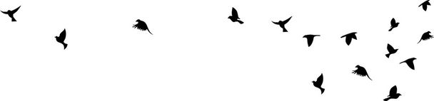 Vogel met het vliegen van silhouet vector op een witte achtergrond - Vector, afbeelding