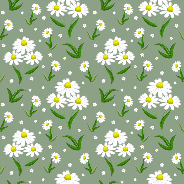 Camomile seamless background - Vector, Image