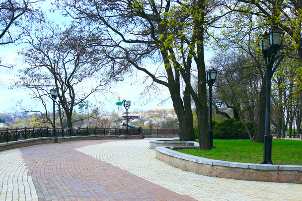 Fußweg im Park mit großen Bäumen - Foto, Bild