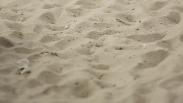Άποψη της κίτρινη άμμο στην παραλία. Διακοπές. Κανείς δεν - Πλάνα, βίντεο
