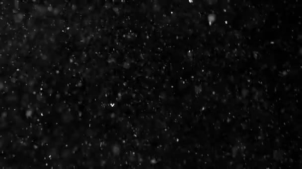Stof Cloud geïsoleerd zwarte achtergrond Bubble Bokeh - Video