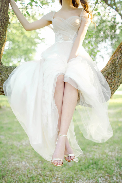 Young bride in beautiful wedding dress sitting on tree outdoors - Foto, afbeelding