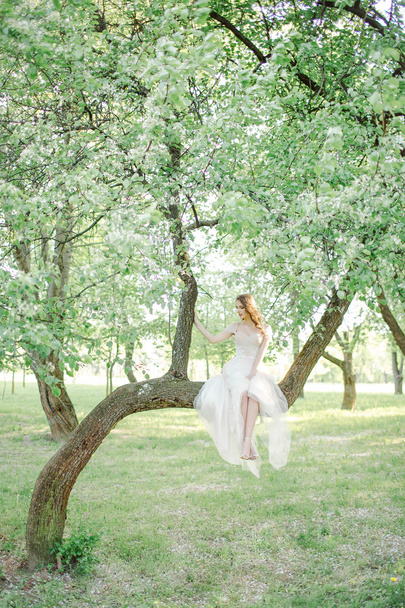 Young bride in beautiful wedding dress sitting on tree outdoors - Foto, immagini