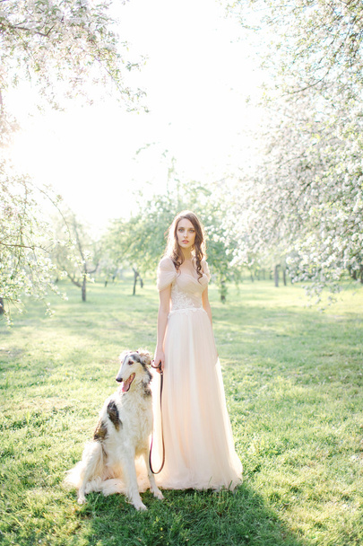 Young beautiful bride in wedding dress with greyhound outdoors - Foto, afbeelding