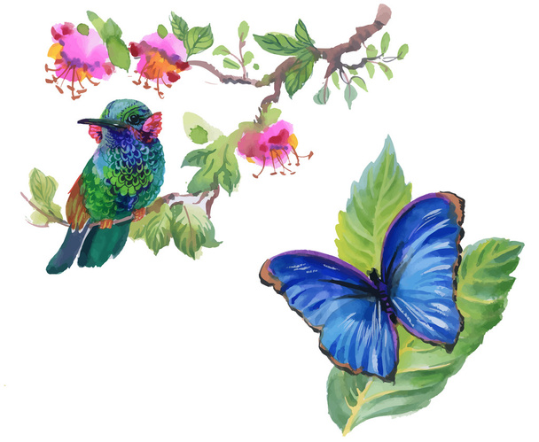 Watercolor colorful Bird and butterfly with leaves and flowers. - Vetor, Imagem