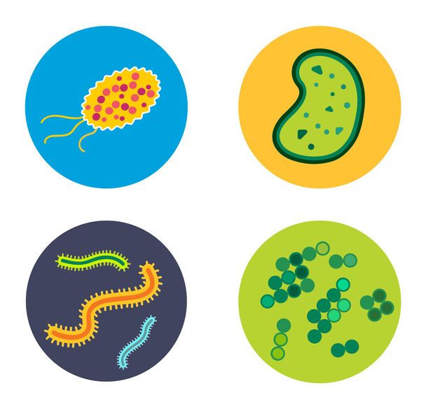bacterias virus vector icono
 - Vector, Imagen
