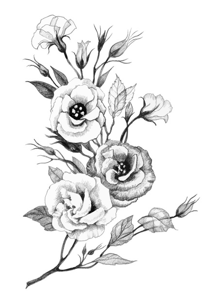 Hand drawing flower isolated on white background. - Vektor, obrázek