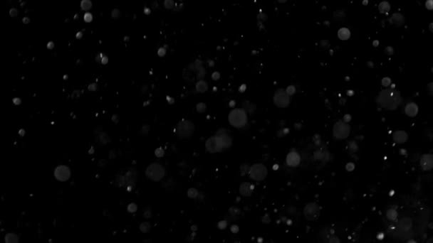Dust Cloud Isolated Black Background Bubble Bokeh - Footage, Video