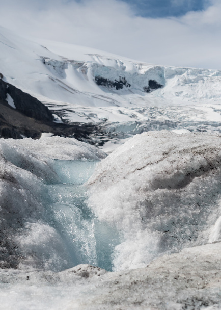 Gletsjers smelten Stream met Columbia-ijsveld in de achtergrond - Foto, afbeelding