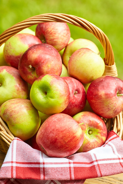 Beautiful apples on garden background  - Foto, immagini