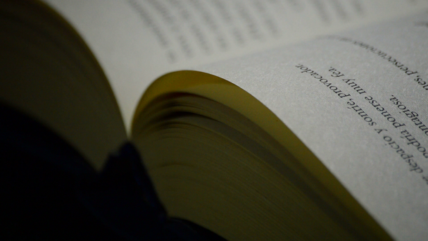Seiten des offenen Buches in spanischer Sprache auf schwarzem Hintergrund rotierend - Filmmaterial, Video