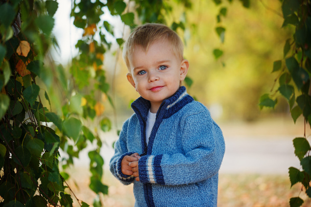 Portrait lovely little boy in a knitted sweater is playing  behi - Foto, Bild