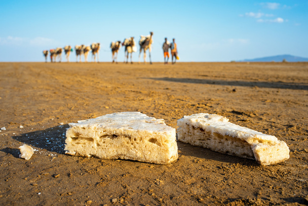 Караван с верблюдами перевозит соль
 - Фото, изображение