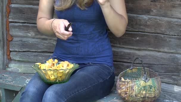 mãos aldeão feminino com faca limpa cogumelos chanterelle. 4K
 - Filmagem, Vídeo
