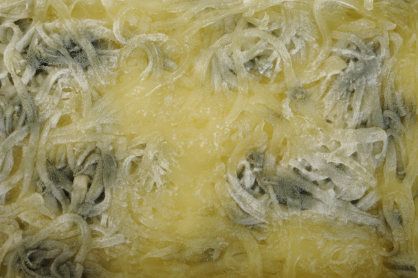 rohadt sajtot csomag - Fotó, kép