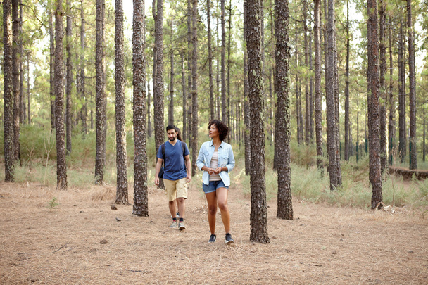 Young couple in pine forest - Фото, изображение