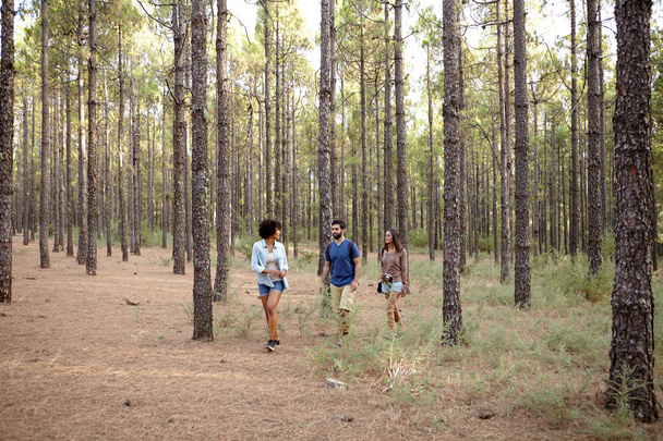 Three young friends exploring woods - Foto, Bild