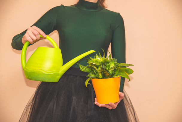 Watering can against the background of the wall - Foto, Imagen