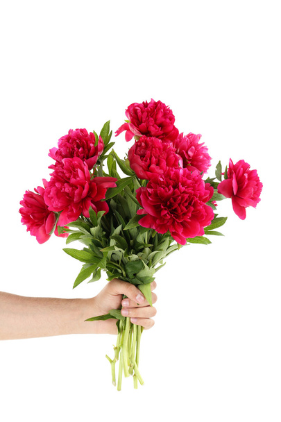 Bouquet of red peony flowers  - Valokuva, kuva