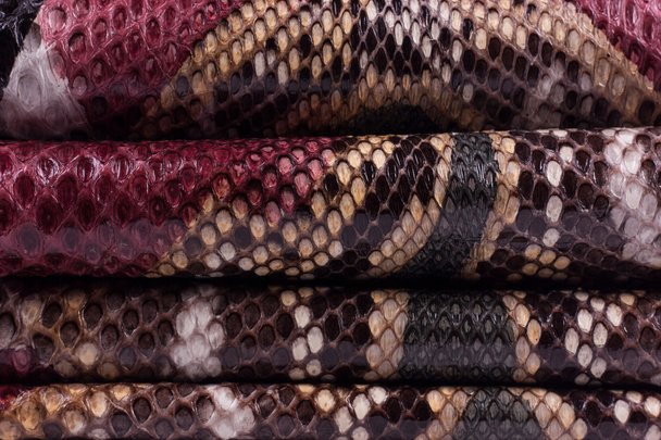 Python pele de cobra fundo de couro, pele de cobra, textura, animal, réptil
 - Foto, Imagem