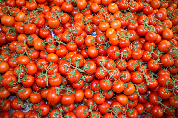 Photo of very fresh tomatoes presented on white background - Photo, Image