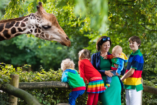 Matka a děti krmení žirafy v zoo - Fotografie, Obrázek