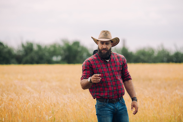 Bearded man in field - Fotografie, Obrázek
