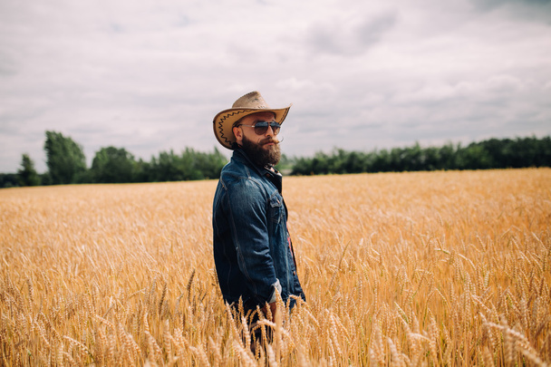 Bearded man in field - Foto, afbeelding