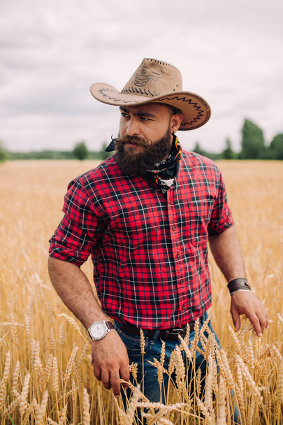 Bearded man in field - Foto, Imagem