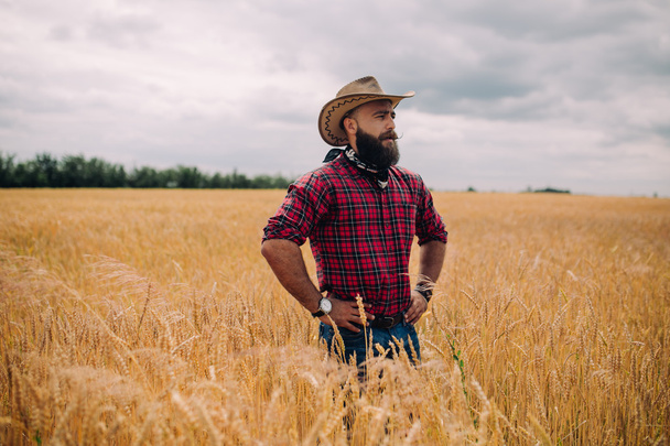 Bearded man in field - Фото, зображення