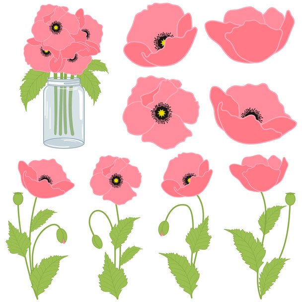 Vector Pink Poppies - Vector, Imagen