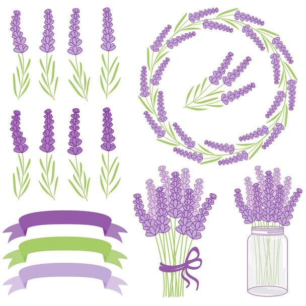Vector Lavender Set - Vector, Imagen
