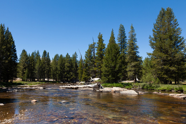 Yosemiten kansallispuisto Kaliforniassa - Valokuva, kuva