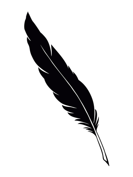 Vector drawing dark bird feather - Vector, Image