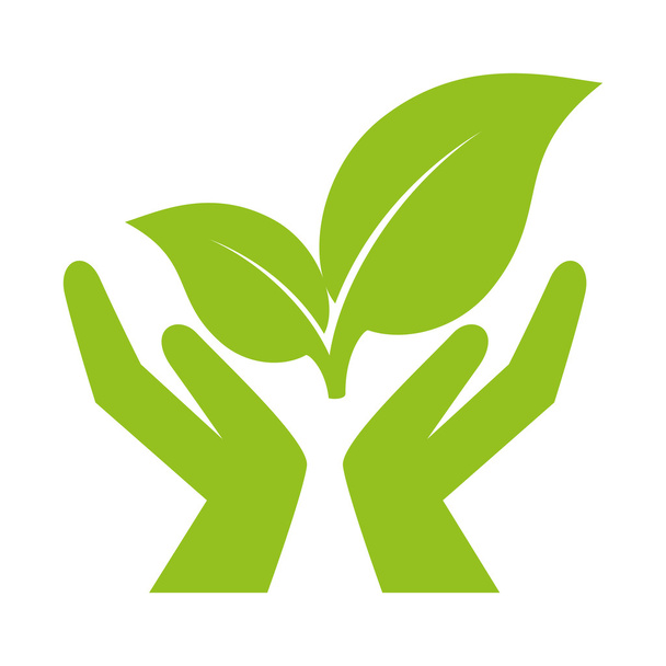 hands plant nature ecology - Vetor, Imagem