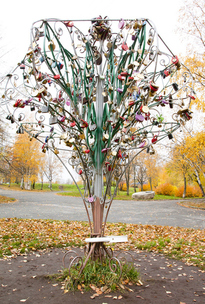 Strom s novomanželé uzamkne v parku - Fotografie, Obrázek
