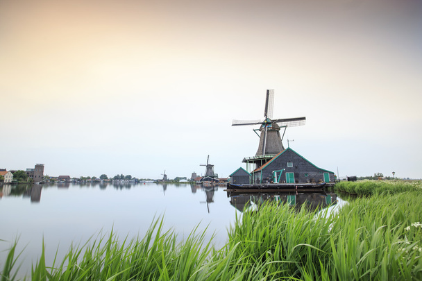 Vecchi mulini a vento in legno nei Paesi Bassi
 - Foto, immagini