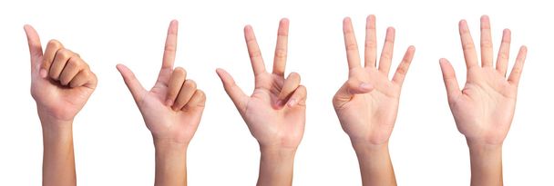 Set Image of Counting woman's left hands finger number (1 to5 ) - Photo, Image