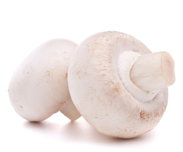 Champignon mushroom - Photo, Image