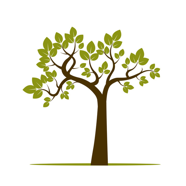 Shape of Green Tree. Vector Illustration. - Vektor, obrázek