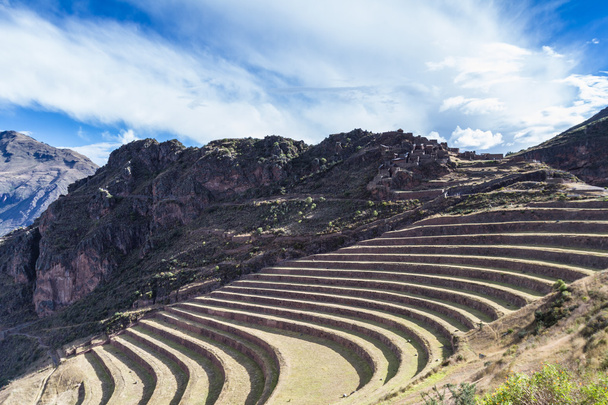landbouw terrassen door de Inca - Foto, afbeelding