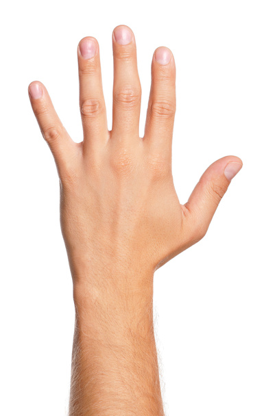 άνθρωπος χέρι - Φωτογραφία, εικόνα