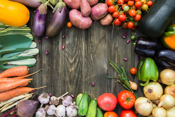 Verse biologische groenten. Herfst oogst Concept. Aardappelen, toma - Foto, afbeelding