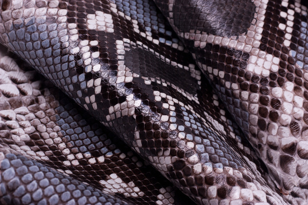 Piton yılan derisi deri arka plan, yılan derisi, doku, hayvan, sürüngen - Fotoğraf, Görsel