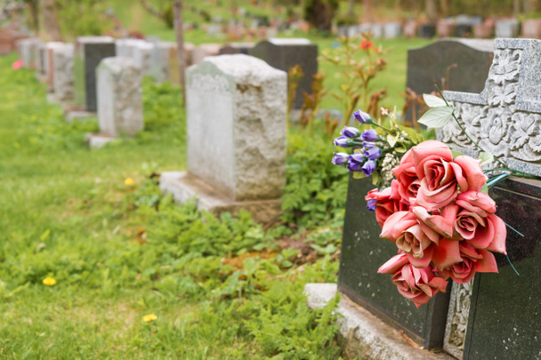 Fleurs sur une pierre tombale dans un cimetière avec des centaines de pierres tombales
 - Photo, image